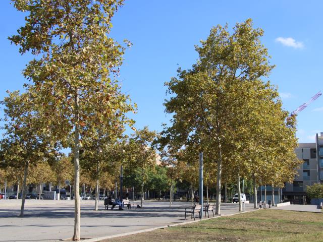 Convocatòria de premsa